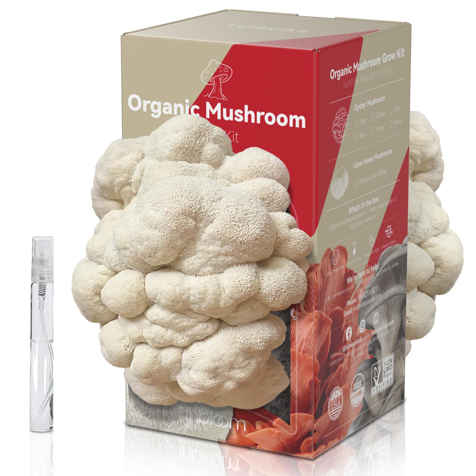 Are Mushroom Growing Kits Worth It? A Detailed Breakdown: Costs vs. Benefits Explained