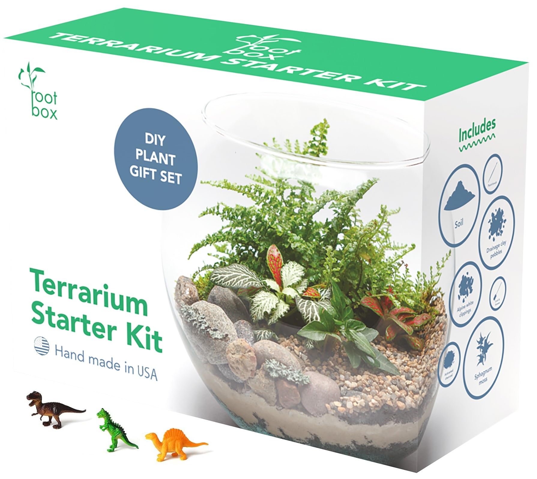 Top-Rated Terrarium Kits for Beginners: 5 Easy-to-Use Options for 2025