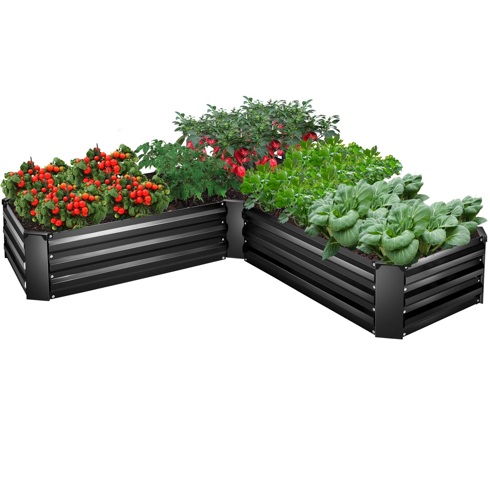 5 Best Modular Raised Bed Systems for Custom Gardens: Flexible Solutions for 2025