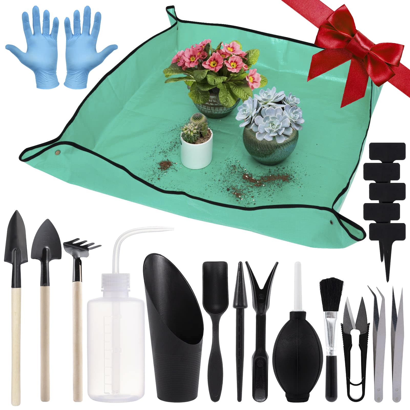 Which Succulent Tools Make Care Easier? Essential Gear for Effortless Maintenance