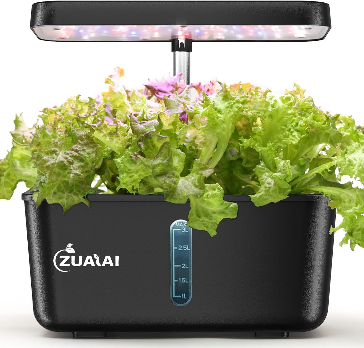Top Soil-Free Growing Kits for Indoor Gardening: 5 Best Options for 2025
