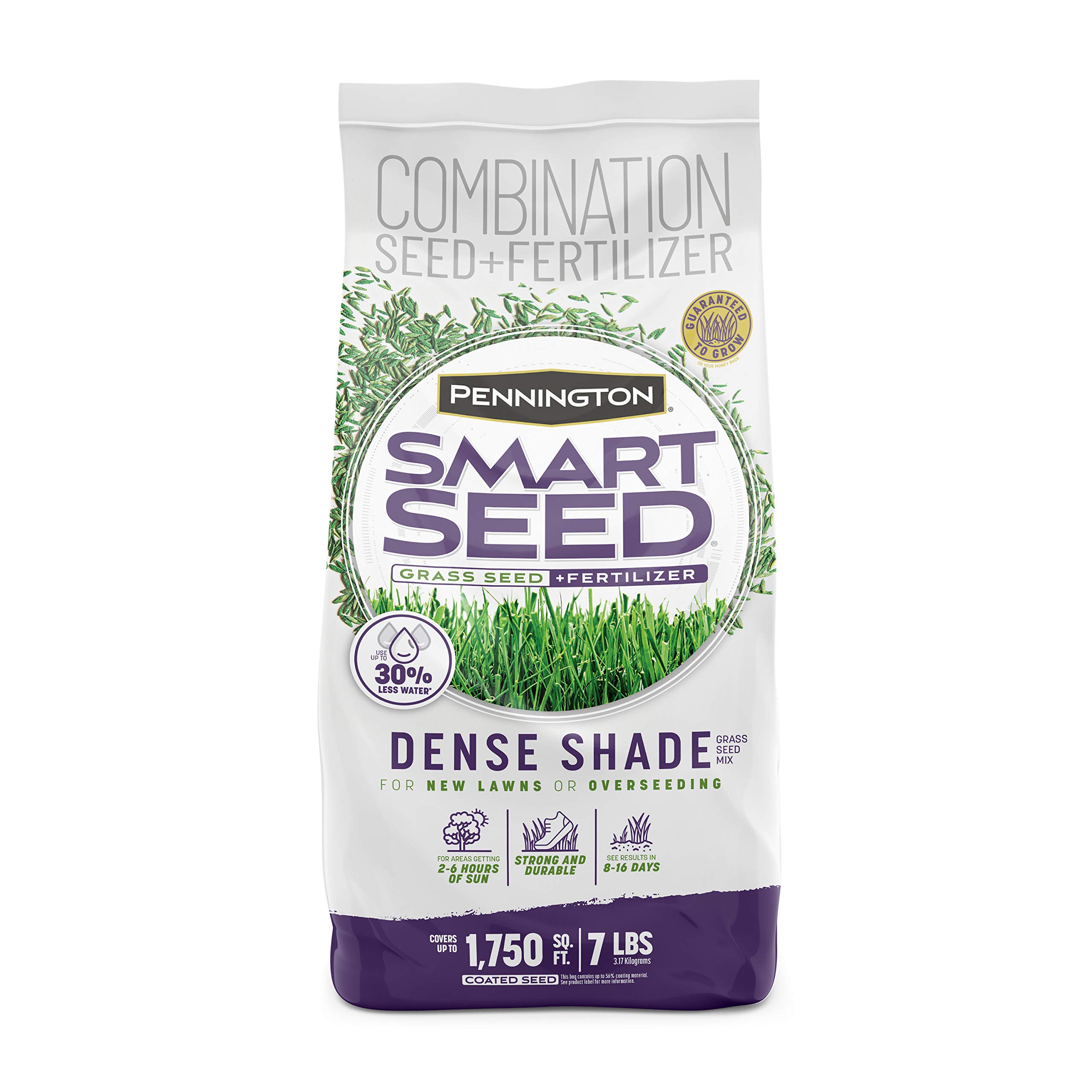 How to Choose the Best Grass Seed for Your Lawn Type: Expert Tips for a Lush, Green Yard