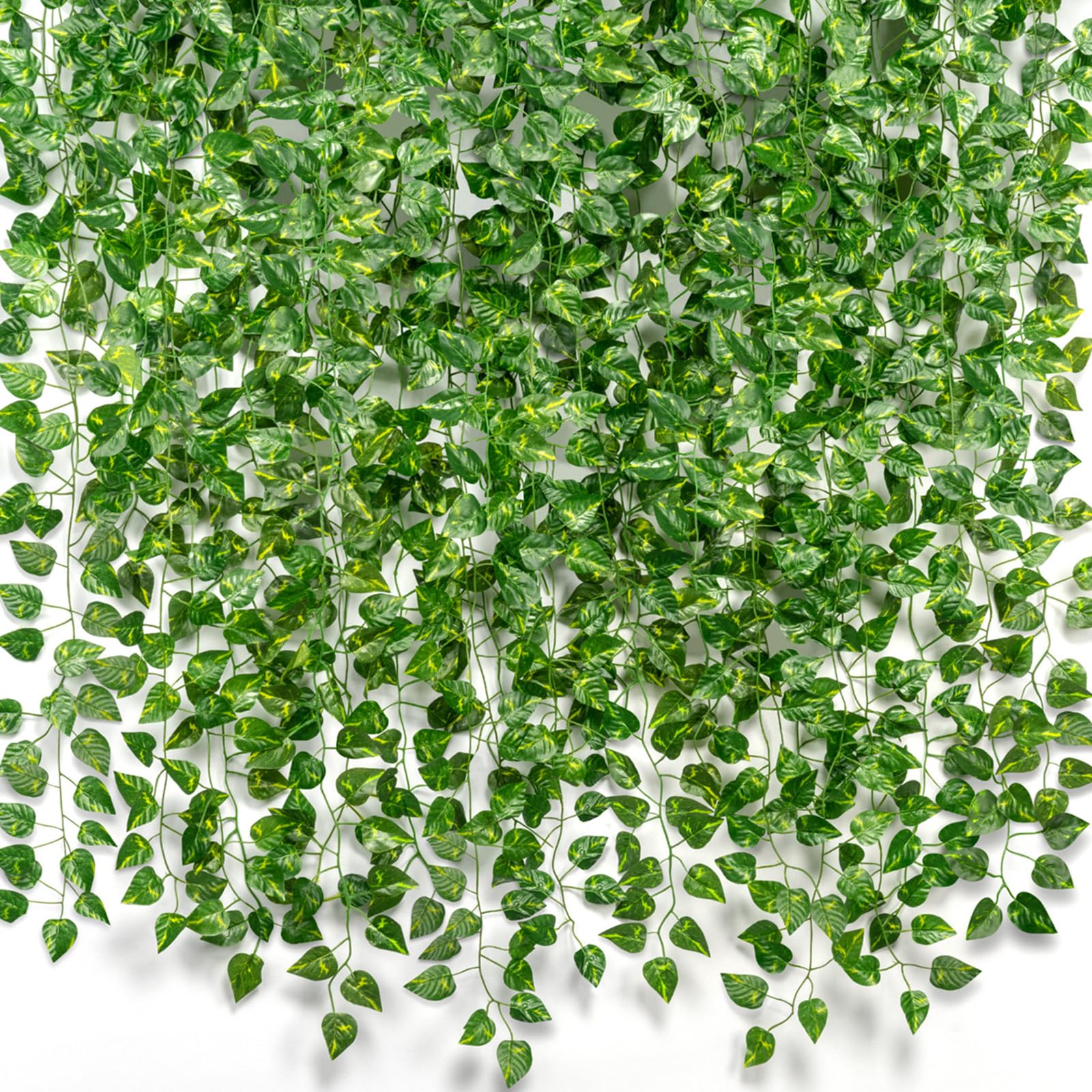 How to Choose the Best Vines for Pergolas: Top Varieties for Stunning Outdoor Spaces