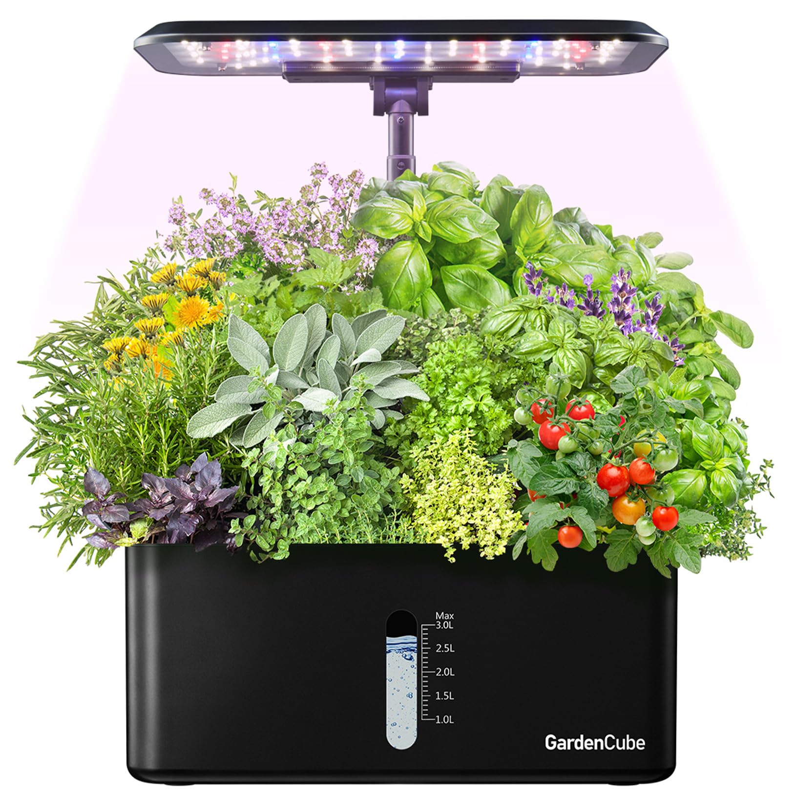 Top 5 Indoor Hydroponic Herb Kits for Easy Home Gardening in 2025