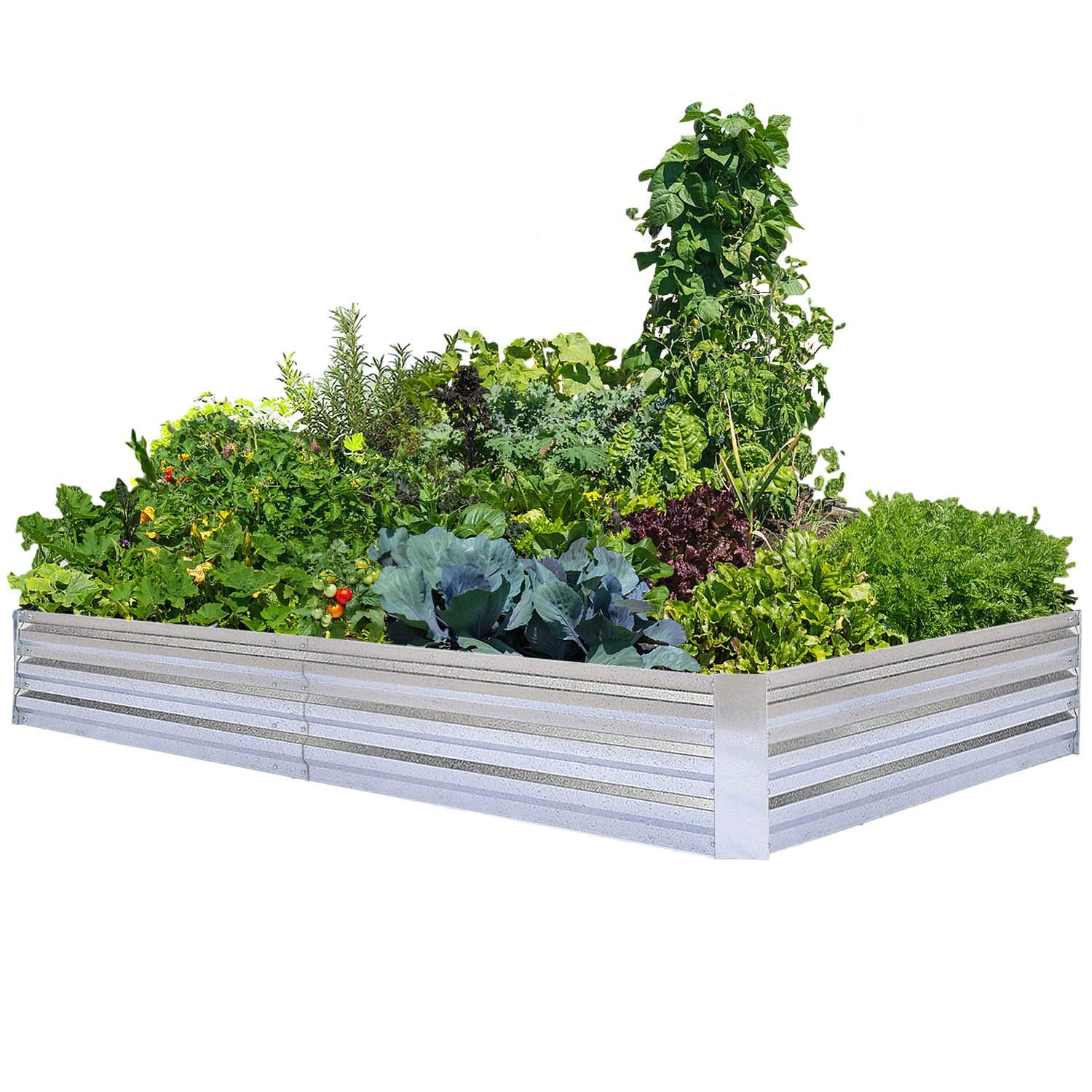 Which Raised Garden Beds Are Easiest to Assemble? Top 5 User-Friendly Options for 2025