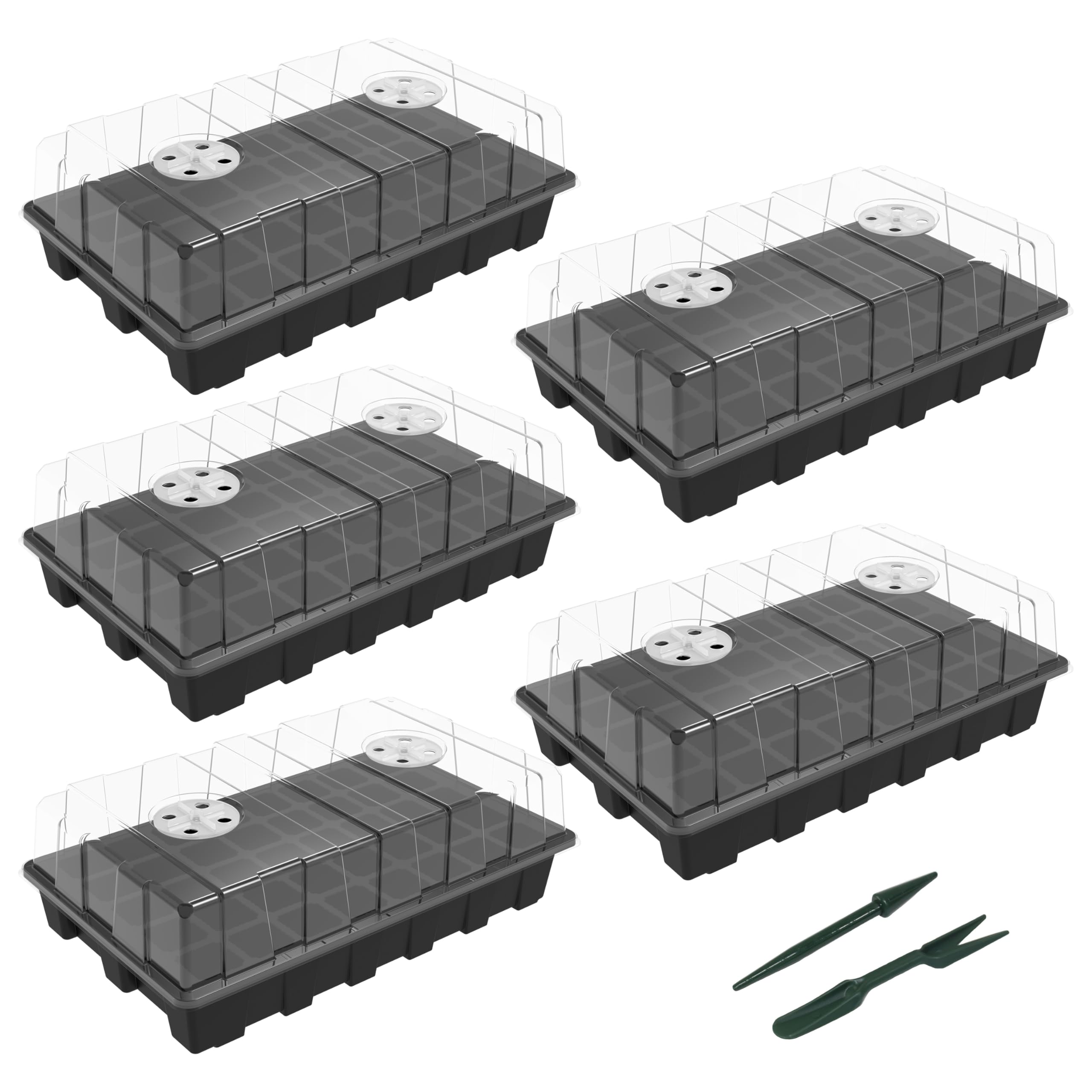 Top 5 Compostable Seed Trays for Sustainable Gardening: Eco-Friendly Options for 2025