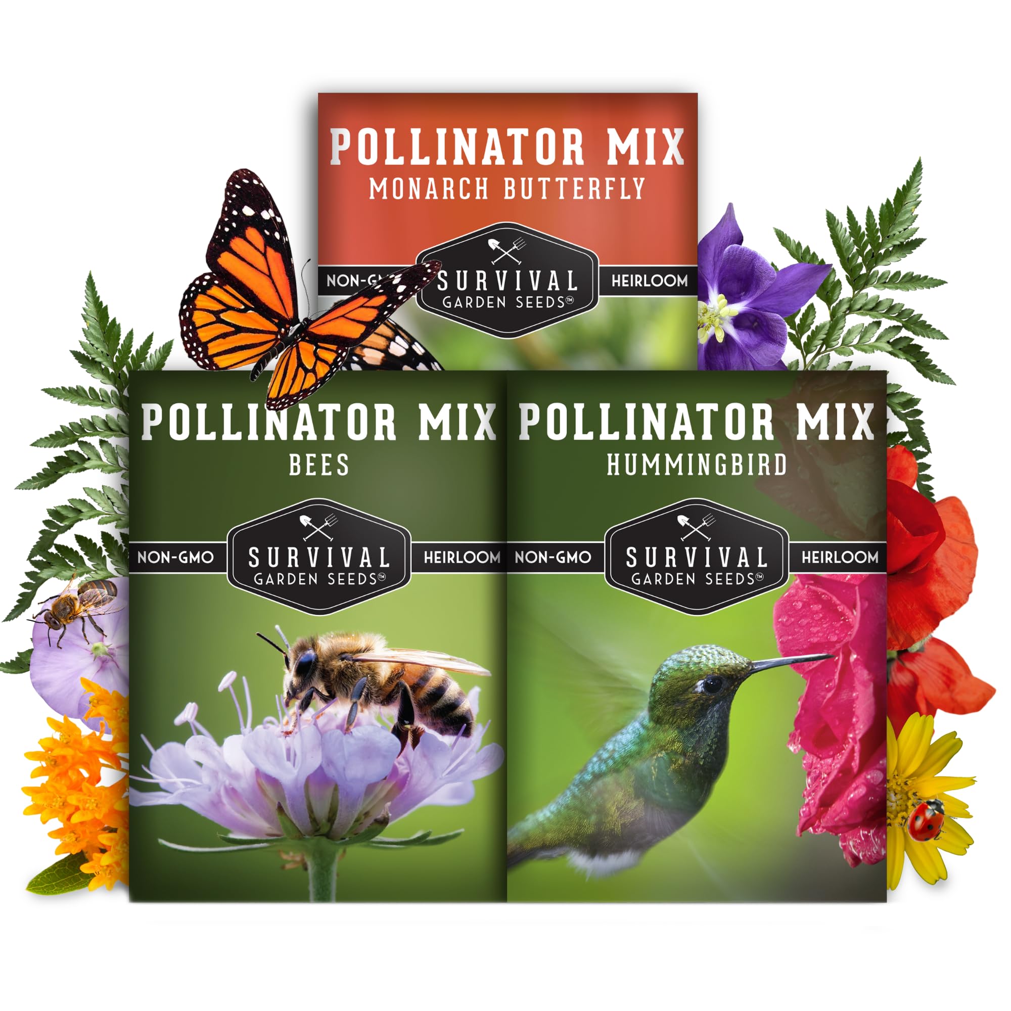 Top 5 Butterfly-Friendly Plants for Pollinator Gardens: Essential Additions to Your Backyard Oasis