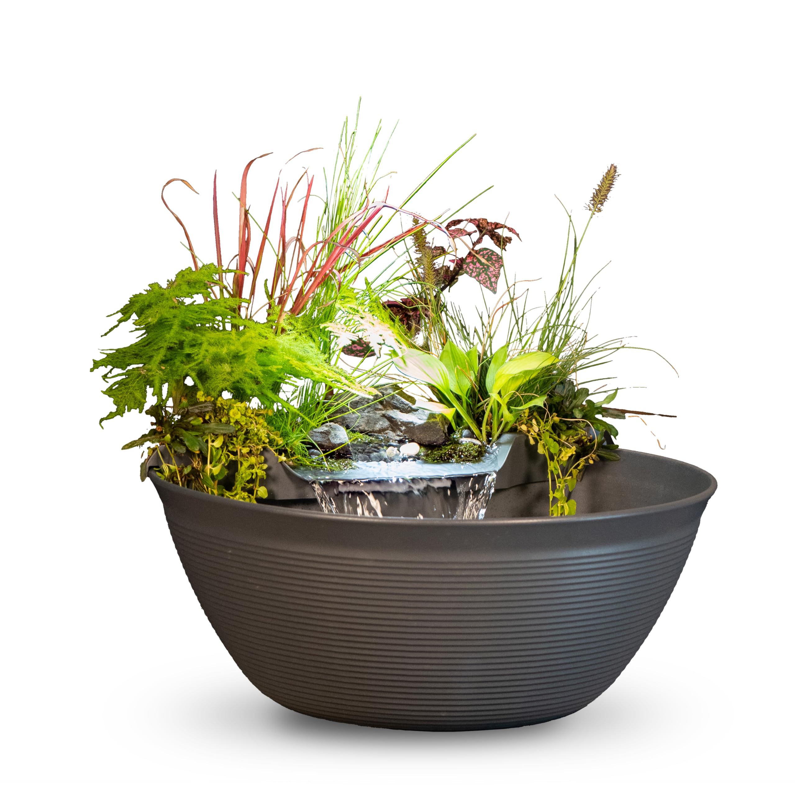 Top 5 Water Features for a Relaxing Garden Oasis: Transform Your Outdoor Space