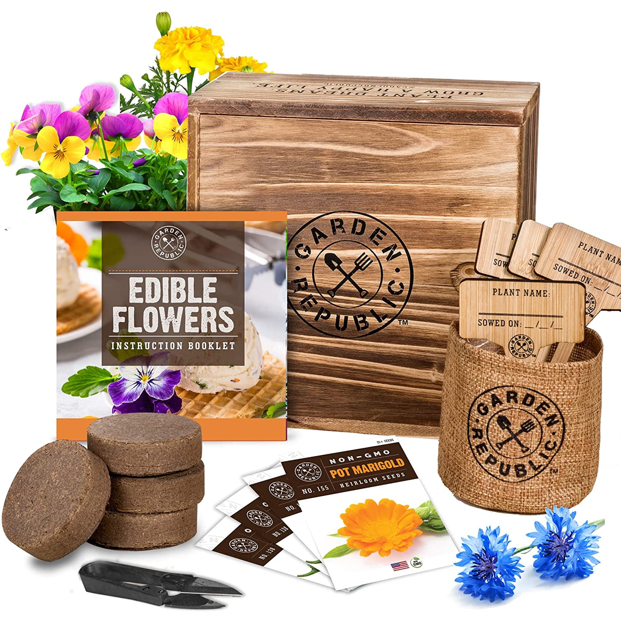 Best Edible Flower Kits for Creative Cooks: Top 5 Options for 2025