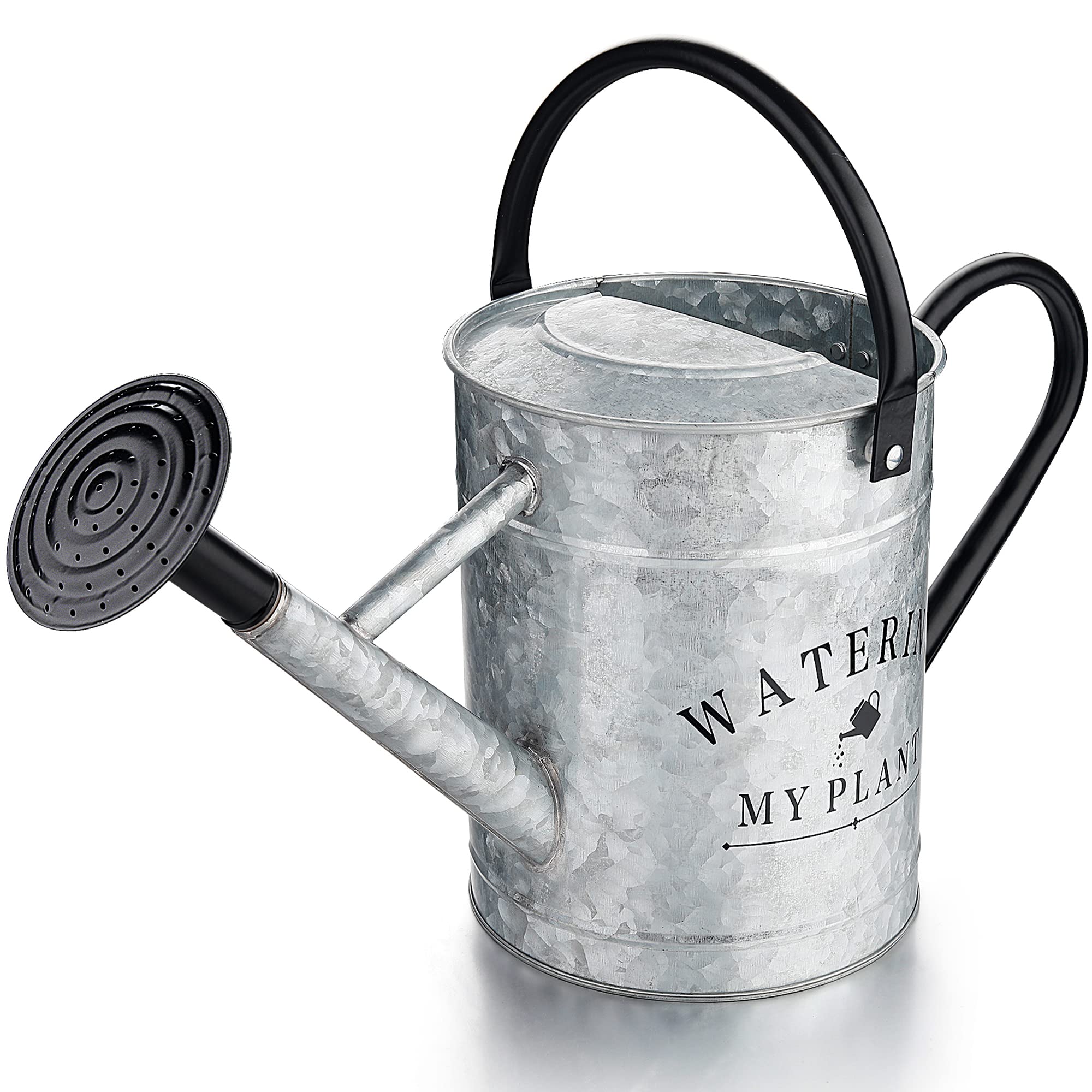 Best Watering Cans: Style Meets Functionality – Top Picks for 2024