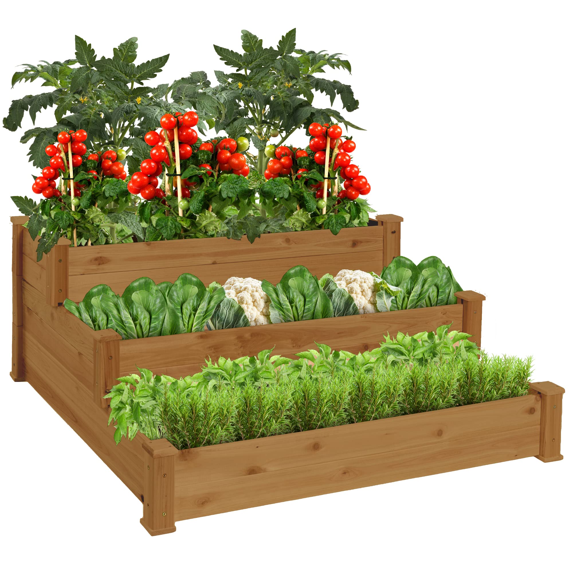 5 Best Raised Garden Bed Kits for Easy Assembly: Top Choices for 2025