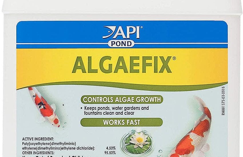 API Algaefix Pond Treatment