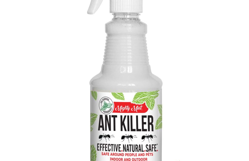 Mighty Mint Peppermint Oil Ant Killer Spray
