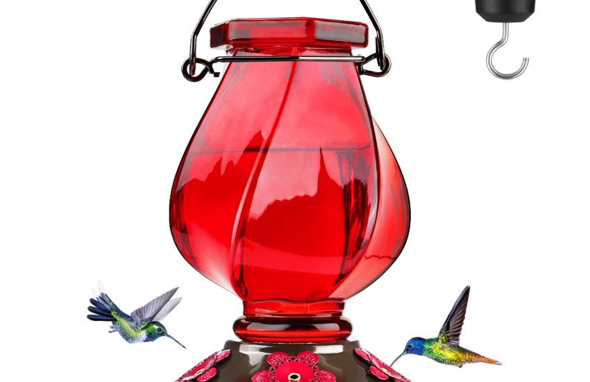 BOLITE hummingbird feeder in bright red