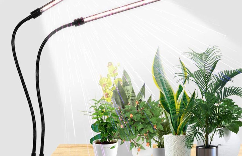 GooingTop LED Grow Light