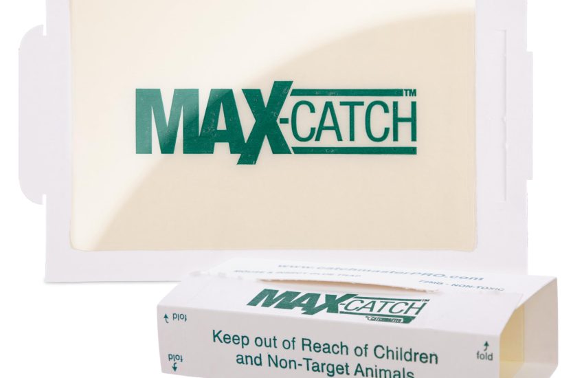 Catchmaster Max-Catch Glue Traps