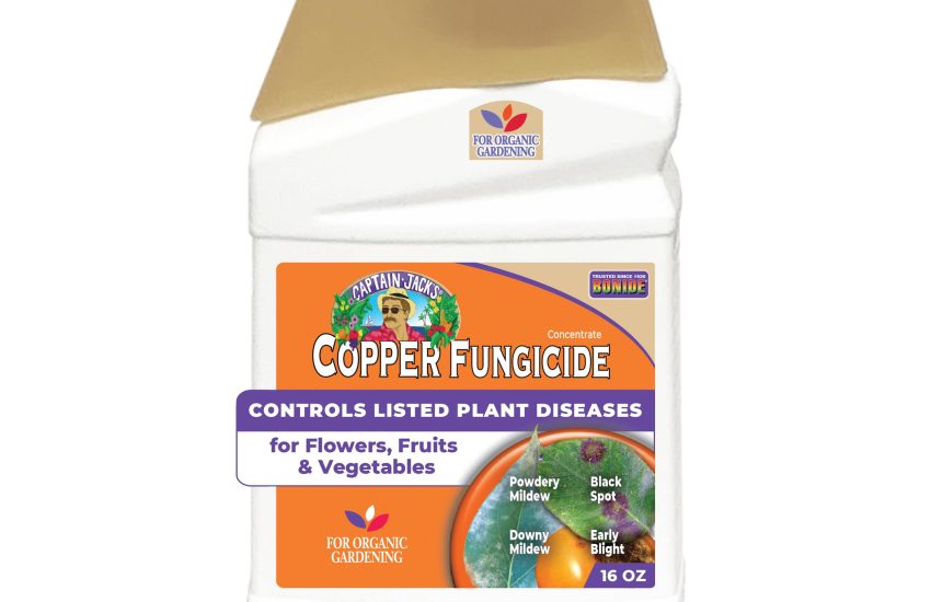 Bonide Captain Jack Copper Fungicide