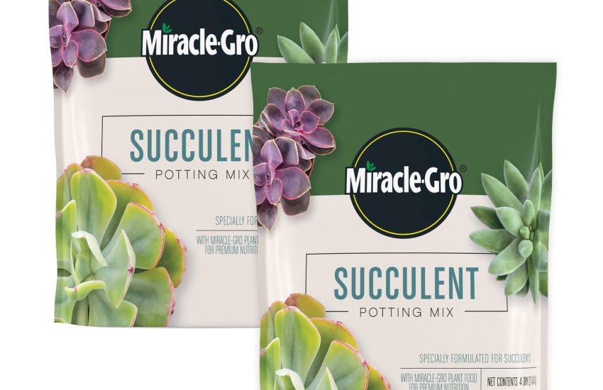 Miracle-Gro Succulent Potting Mix