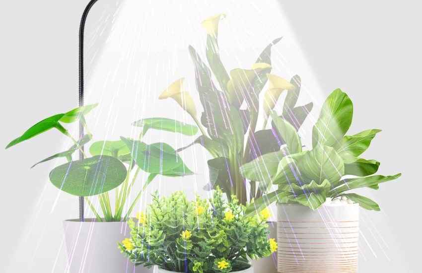 Juhefa grow light for indoor plants