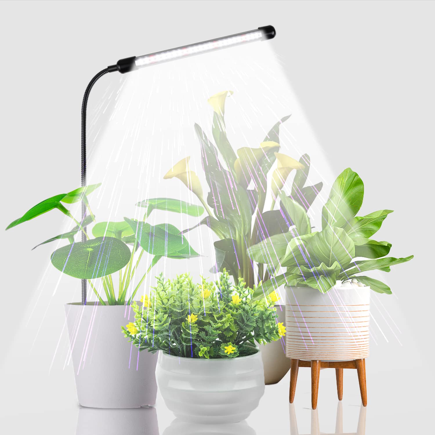 Juhefa Grow Light Review: Reliable Full Spectrum Lamp for Plants?