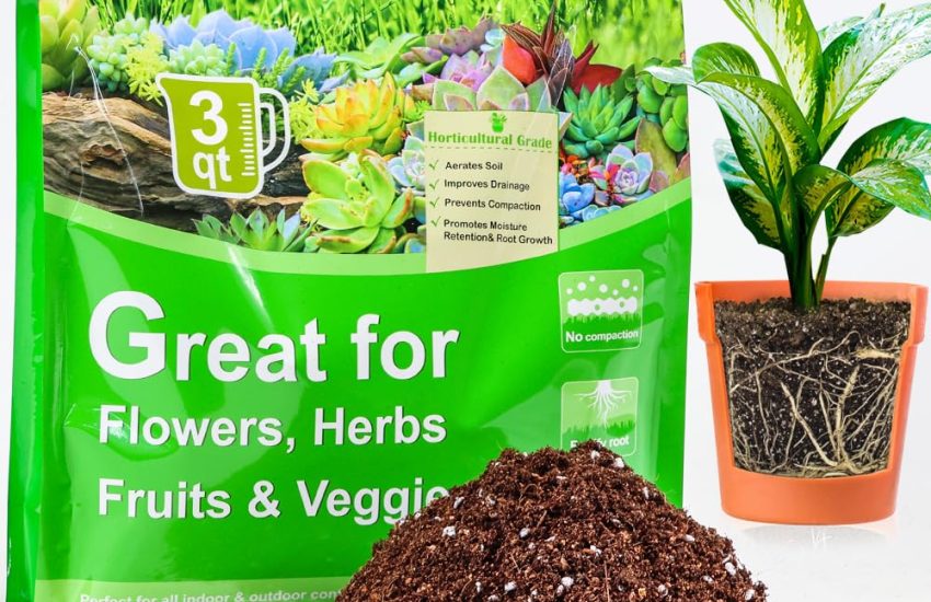 TOYPOPOR Potting Soil