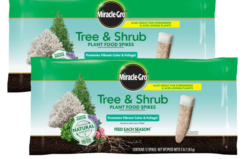Miracle-Gro Tree & Shrub Spikes