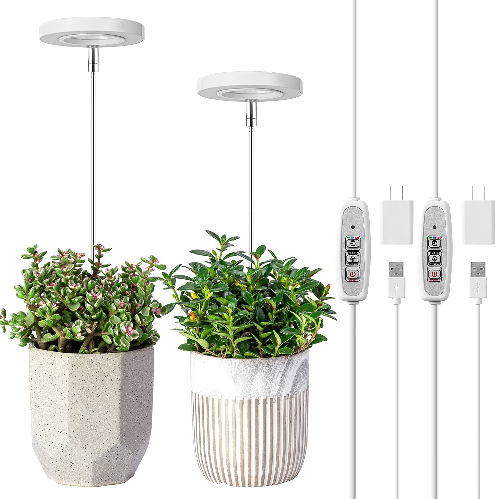 LORDEM Grow Light Review: Effective LED Lighting for Indoor Plants?