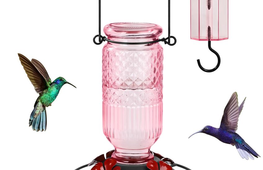 FEED GARDEN Hummingbird Feeder