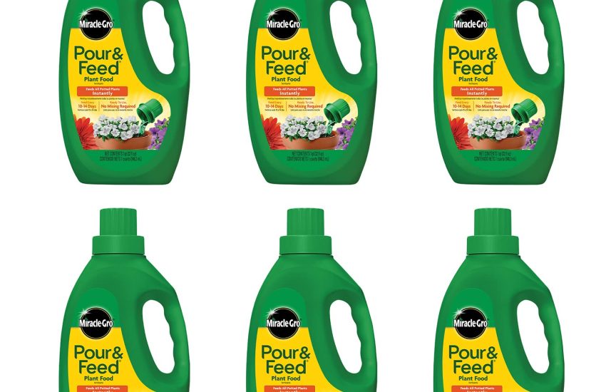 Miracle-Gro Pour & Feed Plant Food