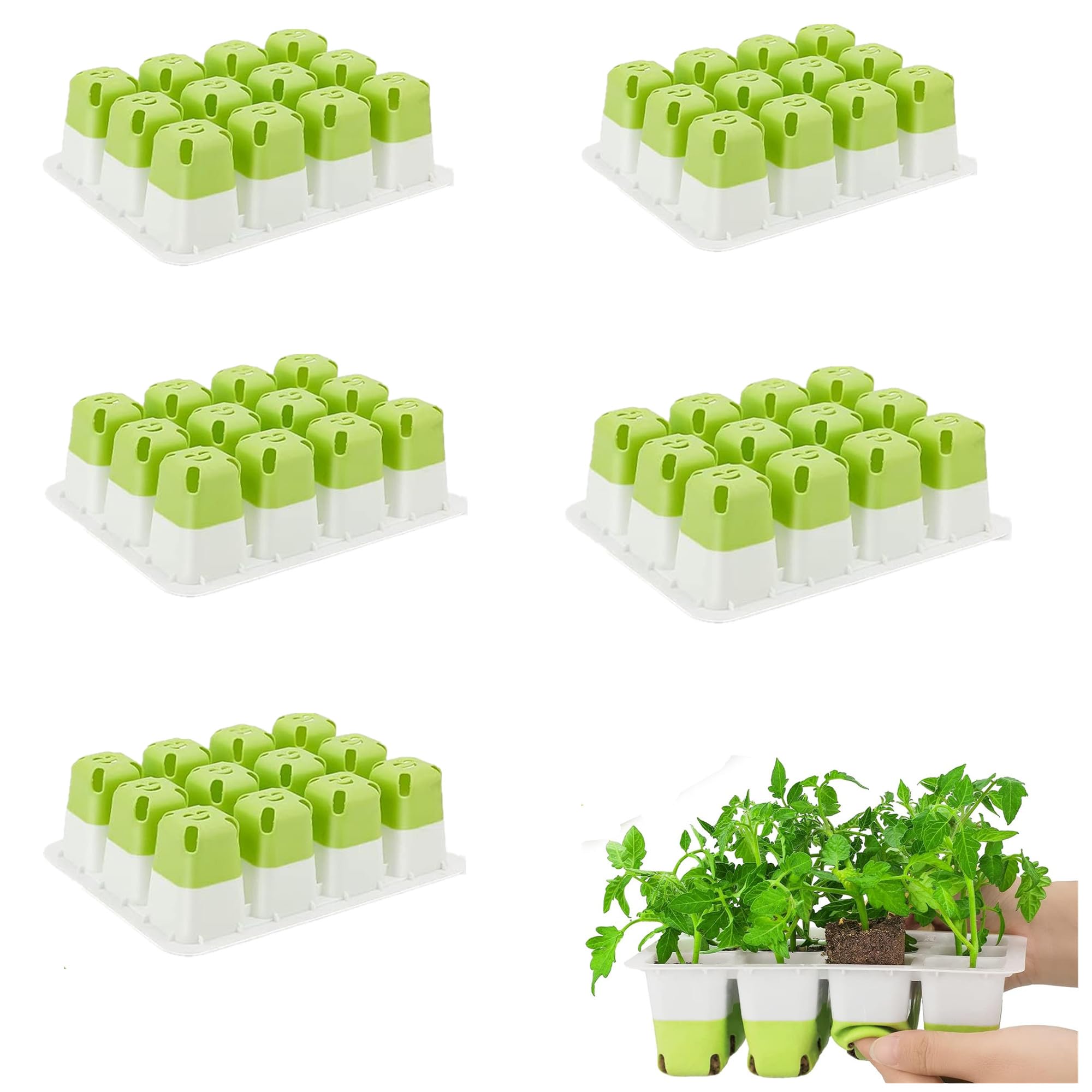 5 Standout Professional Seedling Tray for Eco-Conscious Growers to Maximize Sustainability and Growth Efficiency