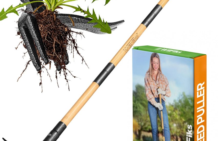 Weed Puller Tool