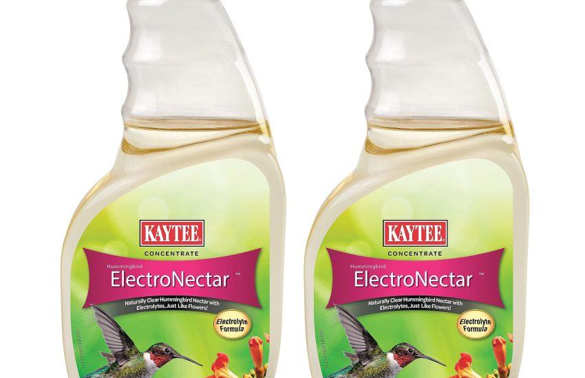 Kaytee ElectroNectar Concentrate