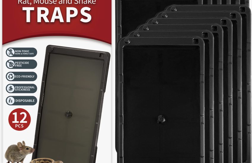 LULUCATCH Super Glue Traps
