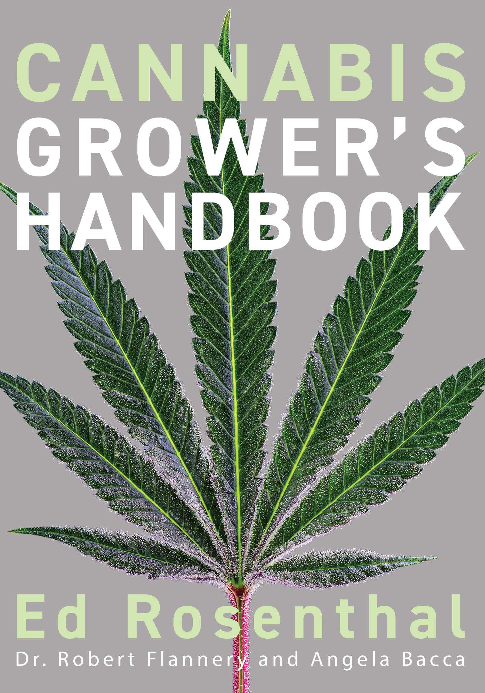 Innovative Commercial Greenhouse Buyer’s Guide For Commercial Growers: Key Features and Best Practices