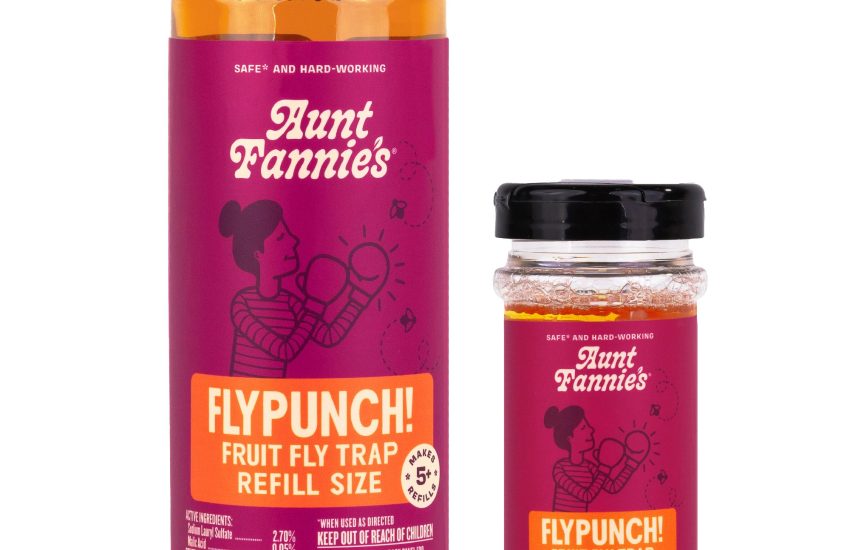 Aunt Fannie's FlyPunch Fruit Fly Trap