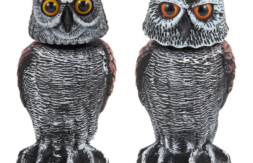 Hedoc Owl Decoys