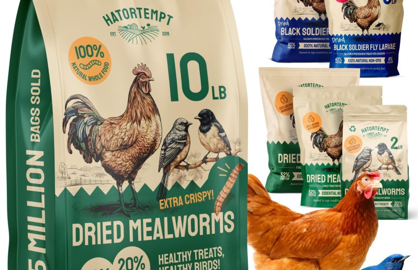 Hatortempt dried mealworms