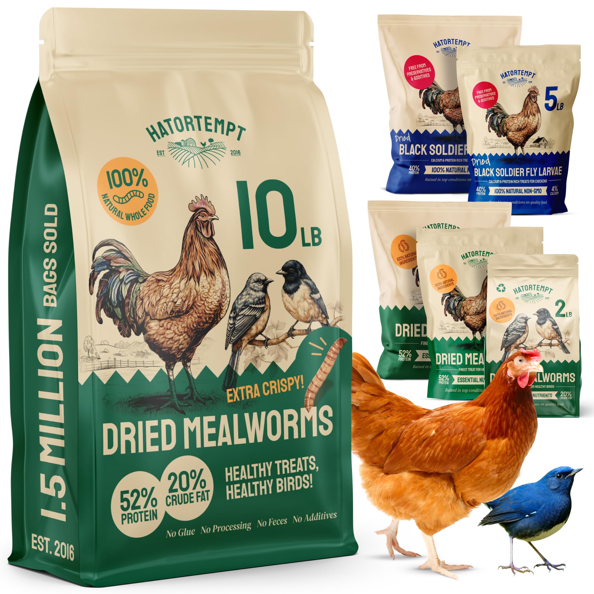 Bulk Dried Mealworms Review – Best Protein for Poultry Feed?