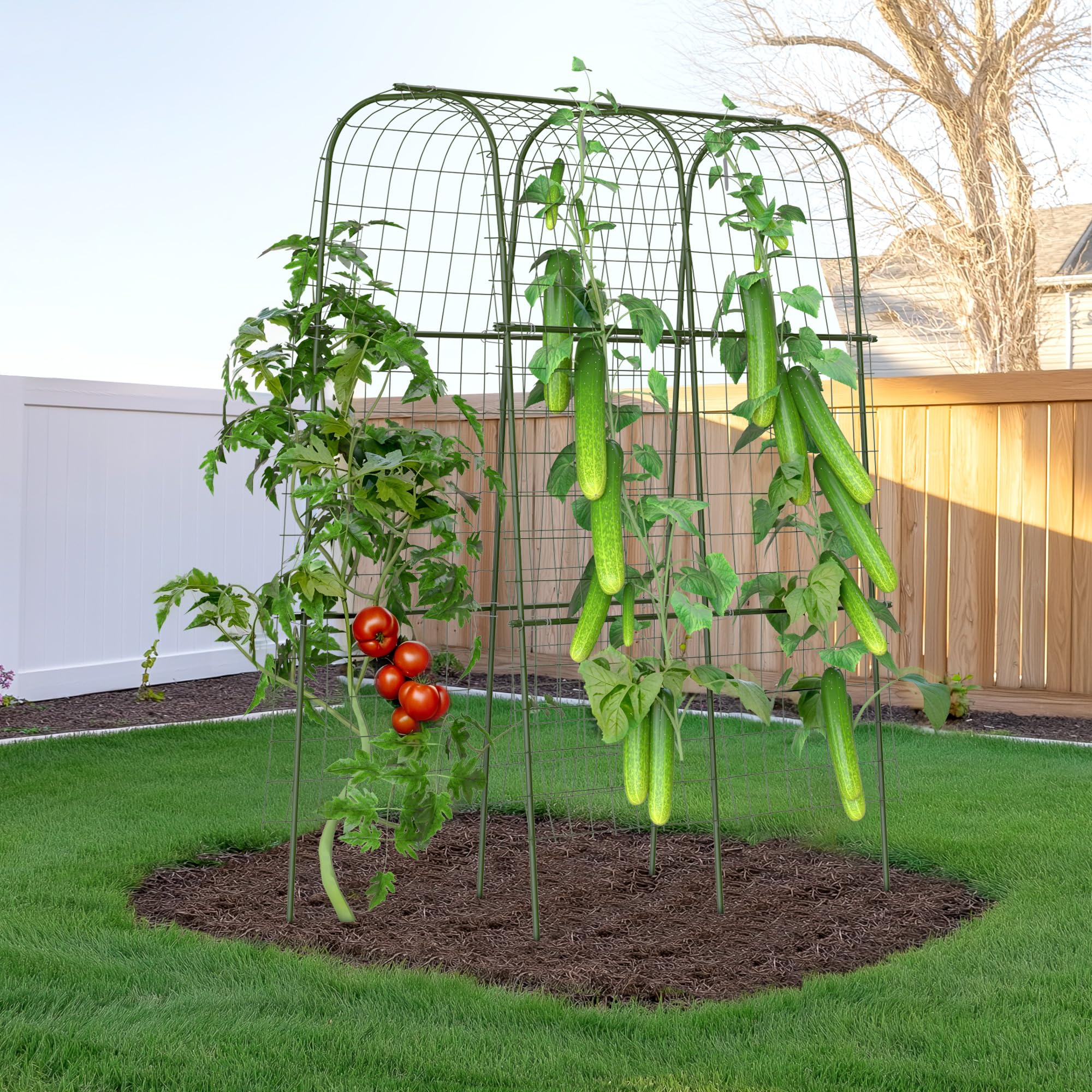 5 Standout Eco-Friendly Commercial Trellis Systems for Eco-Conscious Growers Improving Sustainability and Efficiency