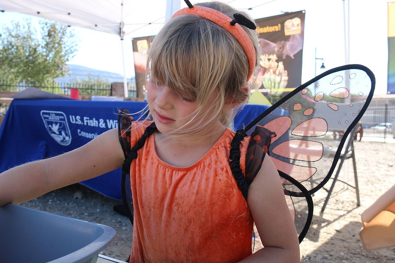 Designing For Wildlife