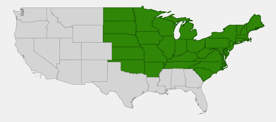 Native range map of Florida Maple (Acer saccharum)