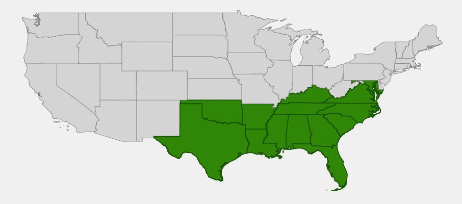 Native range map of American Beautyberry (Callicarpa americana) showing distribution across southeastern and south-central US