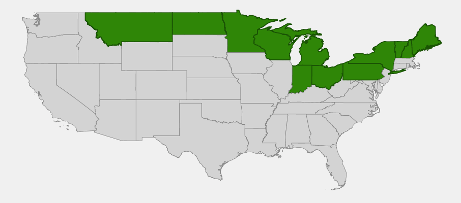 Native range map of American Larch (Larix laricina) showing distribution across northern US states