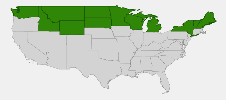 Native range map of Bog Rosemary (Andromeda polifolia) showing distribution across northern United States and Canada