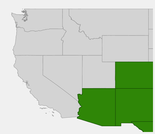Native range map of Arizona Fescue (Festuca arizonica) showing distribution in Arizona, New Mexico, Colorado, and Texas