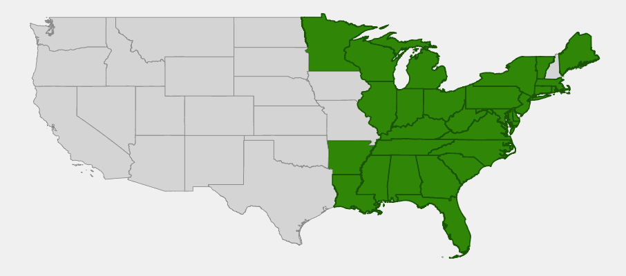 Native range map of Arrow Alum (Peltandra virginica) showing distribution across eastern United States