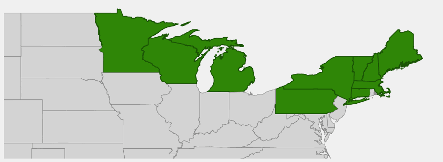 Native range map of Balsam Fir (Abies balsamea) in the United States