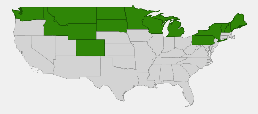 Native range map of Balsam Poplar (Populus balsamifera) showing distribution across Alaska and northern states