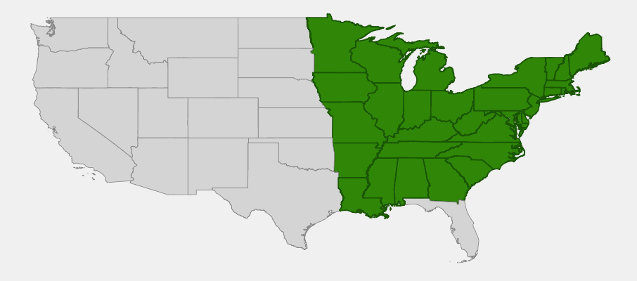 Native range map of Basswood (Tilia americana) showing distribution across eastern North America