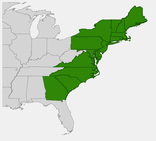 Native range map of Beach Plum (Prunus maritima) showing distribution along the Atlantic coastal states